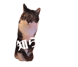743603669