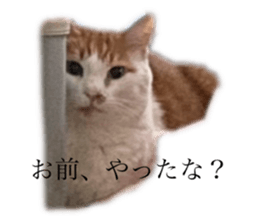 743626165