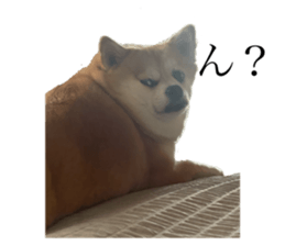 743628980