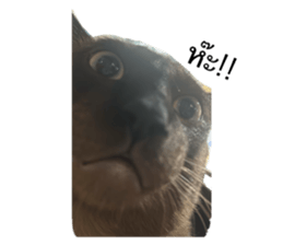743635456