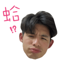 743660465