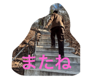 743664138