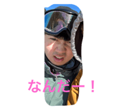743664144