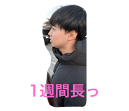 743664146