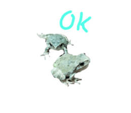 743668458