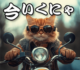 743670462