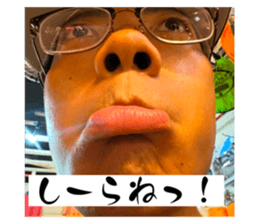 743686853