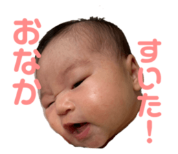 743693133