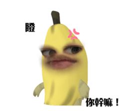 743704370