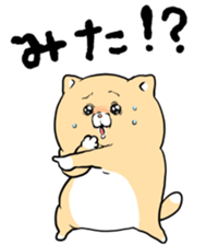 743714444