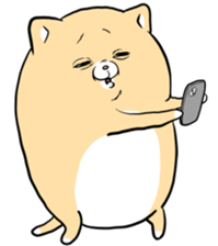 743714455