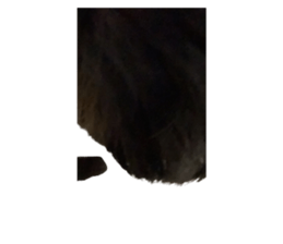 743716143