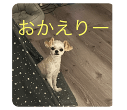 743732357