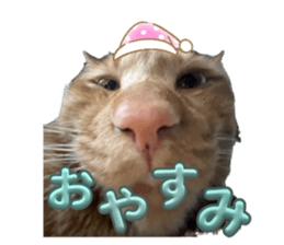 743732514