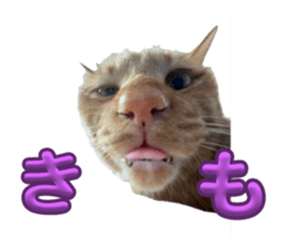 743732525