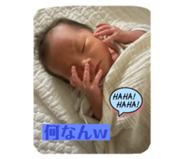 743736384