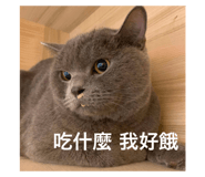 743738646