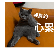743738650