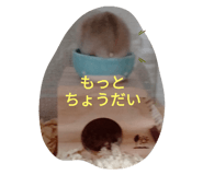 743740065