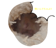 743740066