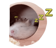 743740067