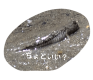 743742070