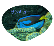 743742073