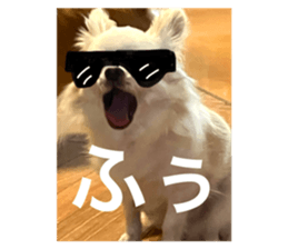 743745884