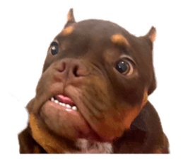 743748758