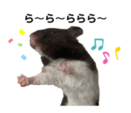 743752967