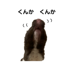743752969