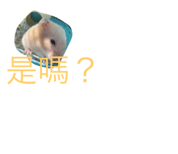 743759418