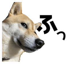 743760348