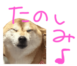 743760350