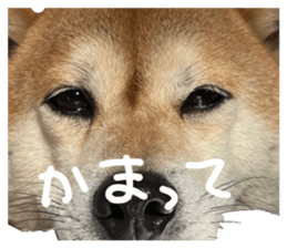 743760352
