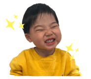 743760520