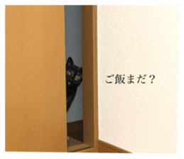 743763508