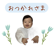 743764540