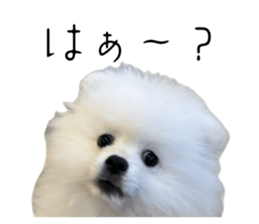 743770708