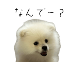 743770710