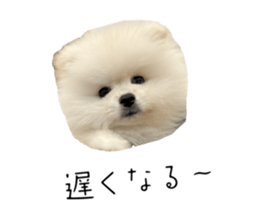 743770713