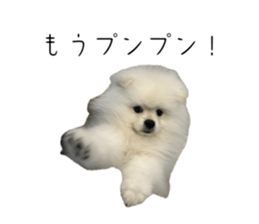 743770715