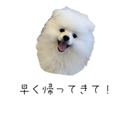 743770725