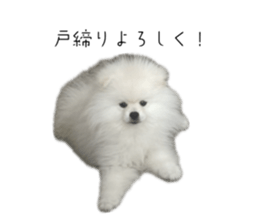 743770726