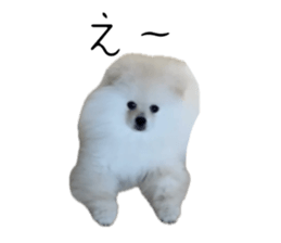 743770728