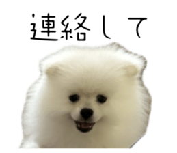 743770736