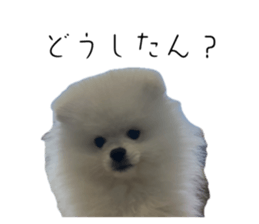 743770740