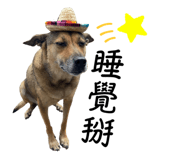 743771947