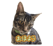 743785220
