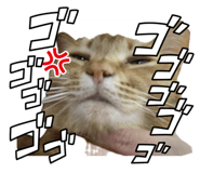 743785227
